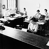 Women typists in a London office, c1950s