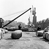 Unloading wine barrels, London Docks, 1953