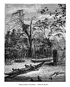 Fishing dugout, Papua, 19th century