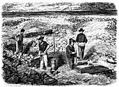 Cradling for gold in the Californian gold fields, 1849