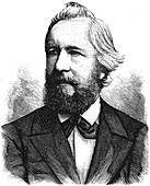 Ernst Haeckel, German zoologist and evolutionist