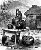 Irish peasant girl guarding family's last possessions, 1886