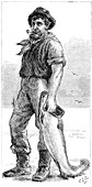 Typical Cape Cod fisherman, 1875