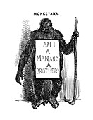 Monkeyana: Am I a Man and a Brother?', 1861