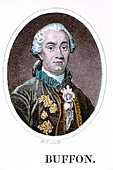 George-Louis Leclerc, Comte de Buffon, French naturalist