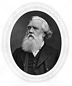 Austen Henry Layard, English archaeologist and diplomat