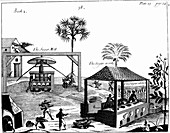 Slave labour on a sugar plantation in the West Indies, 1725