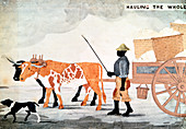 A slave with an ox-cart, New Orleans, USA
