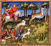Deer hunt, 15th century