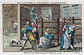The Manner of Feeding Silkworms', 1753