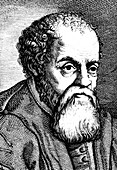 Ulysses Aldrovandi, 16th century Italian naturalist