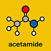 Acetamide molecule