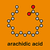 Arachidic acid molecule