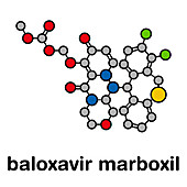 Baloxavir marboxil influenza drug molecule