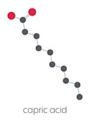 Capric acid molecule