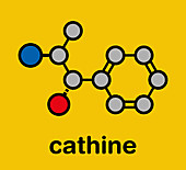 Cathine khat stimulant molecule