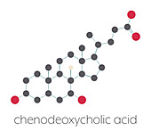 Chenodeoxycholic acid drug molecule