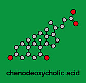 Chenodeoxycholic acid drug molecule