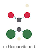 Dichloroacetic acid molecule