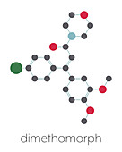 Dimethomorph fungicide molecule