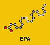 Eicasapentaenoic acid molecule