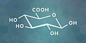 Glucuronic acid molecule