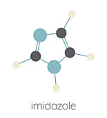 Imidazole organic heterocyclic molecule