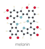 Melanin molecule