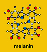 Melanin molecule