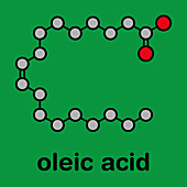 Oleic acid omega-9 fatty acid molecule
