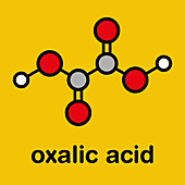 Oxalic acid molecule