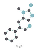 PhIP molecule