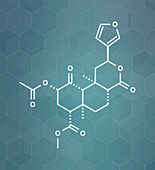 Salvinorin A entheogen molecule