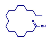 Stearic acid saturated fatty acid molecule