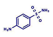 Sulfanilamide sulfonamide antibiotic molecule