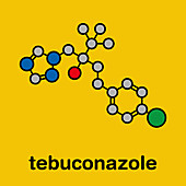 Tebuconazole fungicide molecule