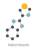 Thiabendazole fungicidal and anti-parasite molecule