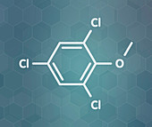 Trichloroanisole cork taint molecule