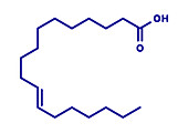 Vaccenic acid molecule