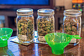Medical marijuana dispensary jars