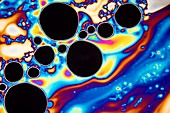 Soap bubble film iridescence, light micrograph