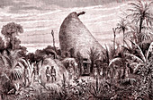 Tribal chief hut on New Caledonia, 19th century