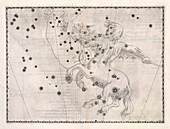Centaurus constellation, 1603 illustration