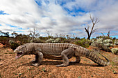 Megalania lizard, illustration