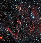 Supernova remnant SNR 0454-67.2, Hubble image