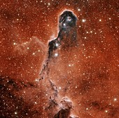 Elephant's Trunk Nebula, optical image