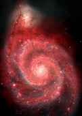 Whirlpool Galaxy, composite radio-optical image