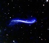 Warped galaxy UGC 3697, composite radio-optical image
