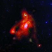 M81 galaxy cluster, composite radio-optical image