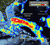 Hurricane Dorian rainfall track, satellite map